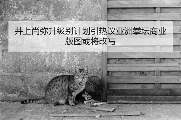 井上尚弥升级别计划引热议亚洲拳坛商业版图或将改写